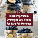 Blueberry Vanilla Overnight Oats Recipe