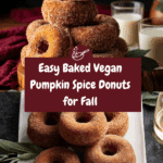 Baked Vegan Pumpkin Spice Donuts Recipe